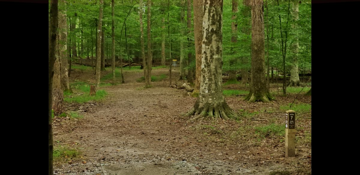 Hole 7 plays LHBH.
Alternative disc catcher plays RHBH