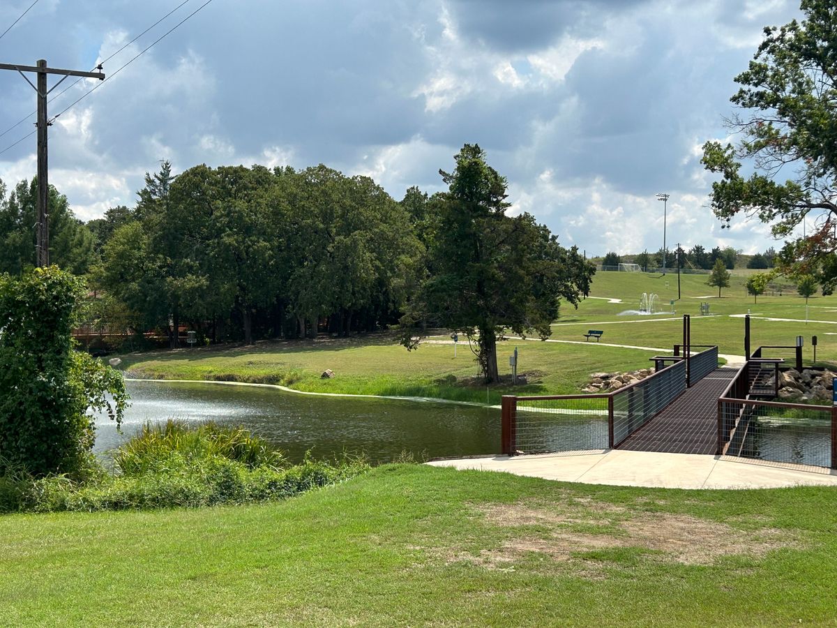 Hole 16 (Mando on big tree)