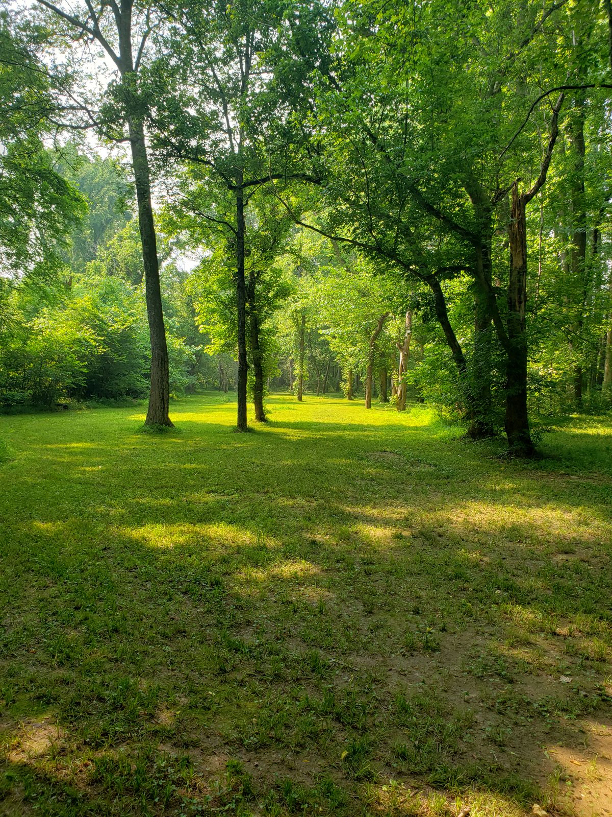 Hole 9 from tee pad. Basket is straight ahead with a hyzer and anhyzer line available. 
