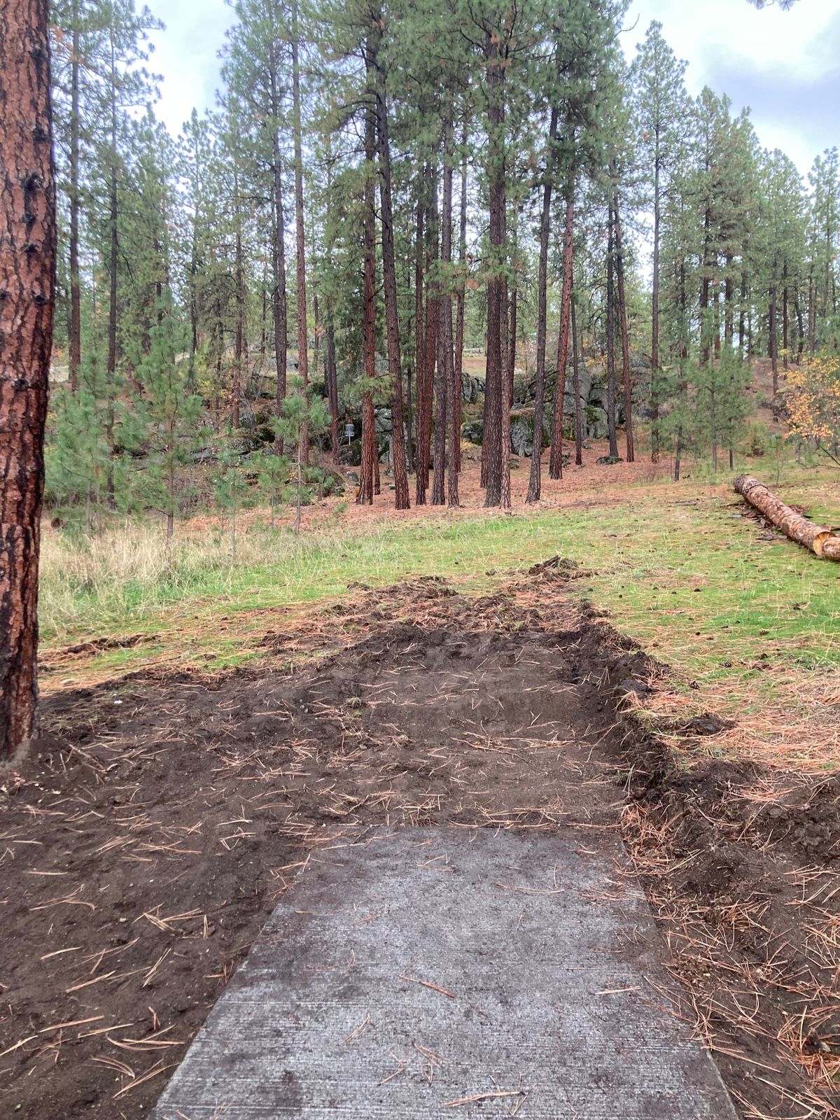 Hole 19 tee pad