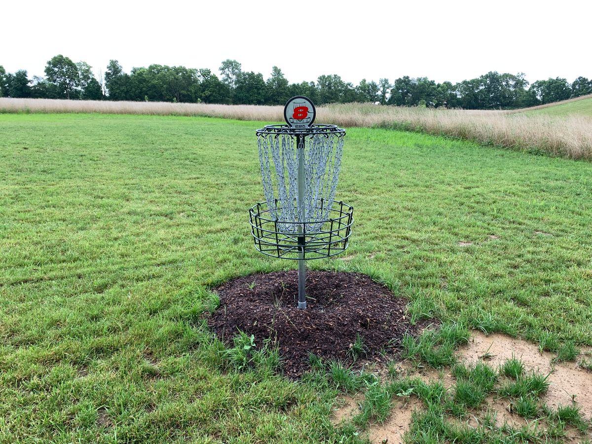 Hole 8 Basket