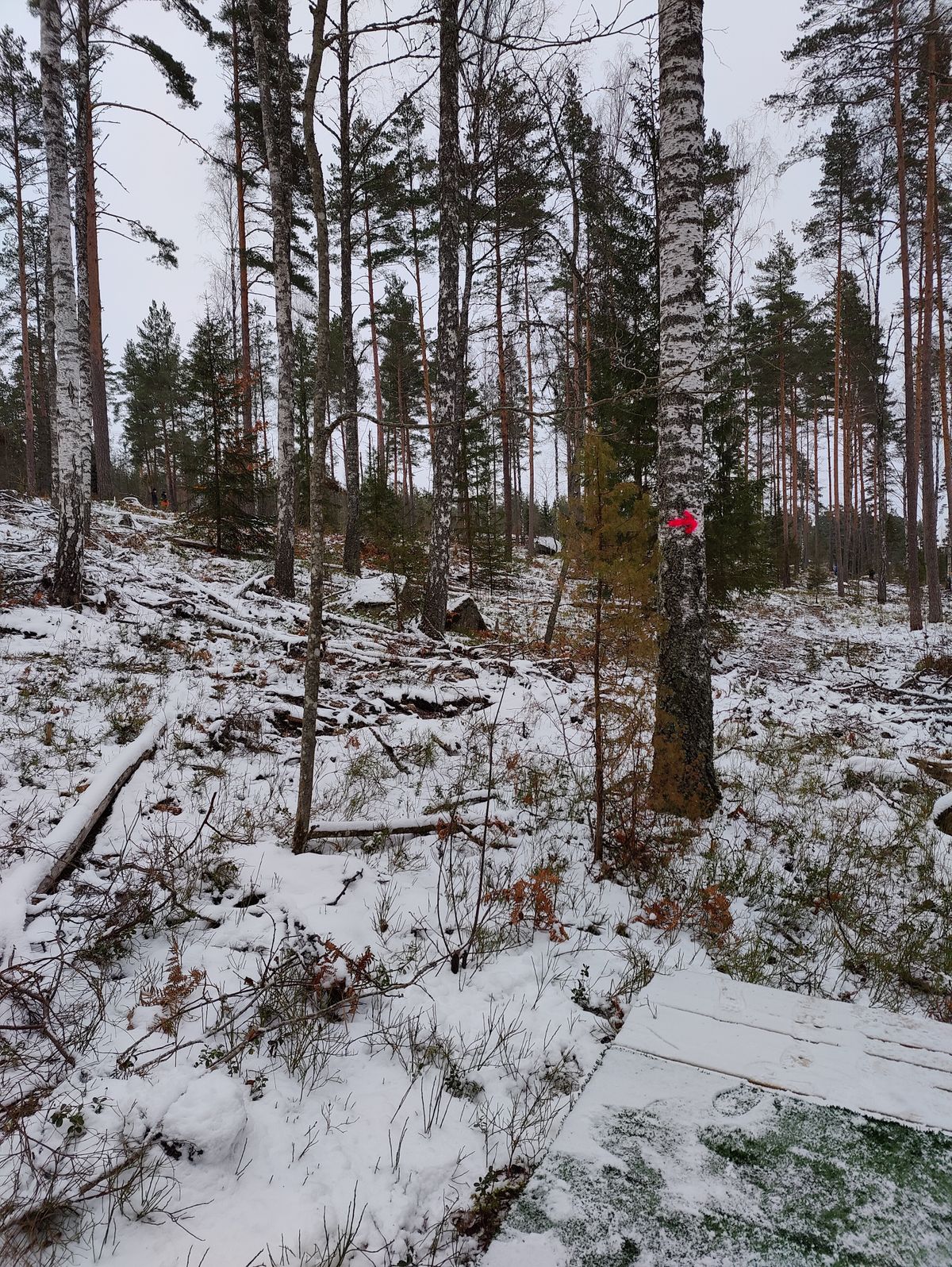 Väylä 14, mando kierto oikealta, kori vasemmalla rinteessä