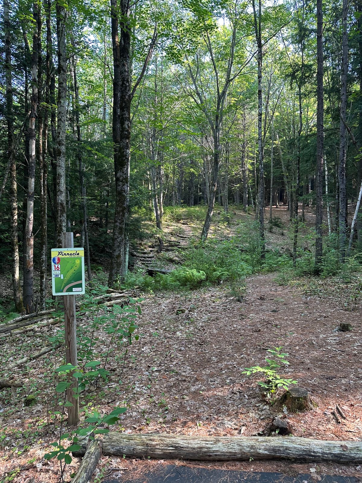 Tee pad 16