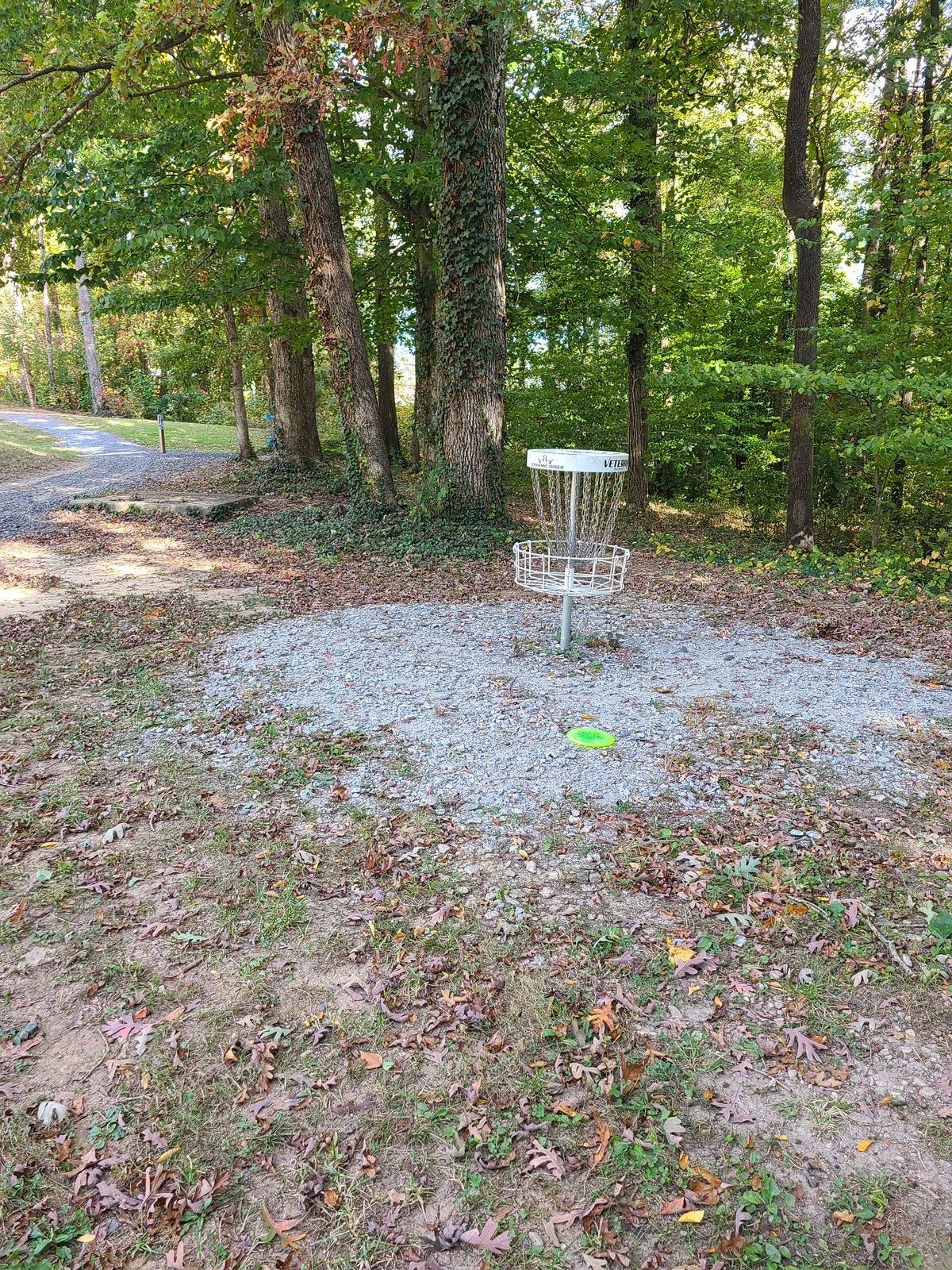 Basket for hole 1
