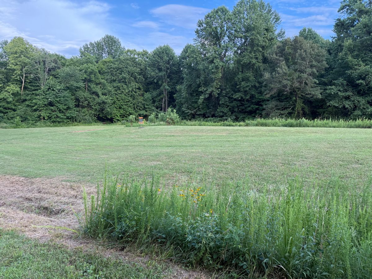 Green of hole 2