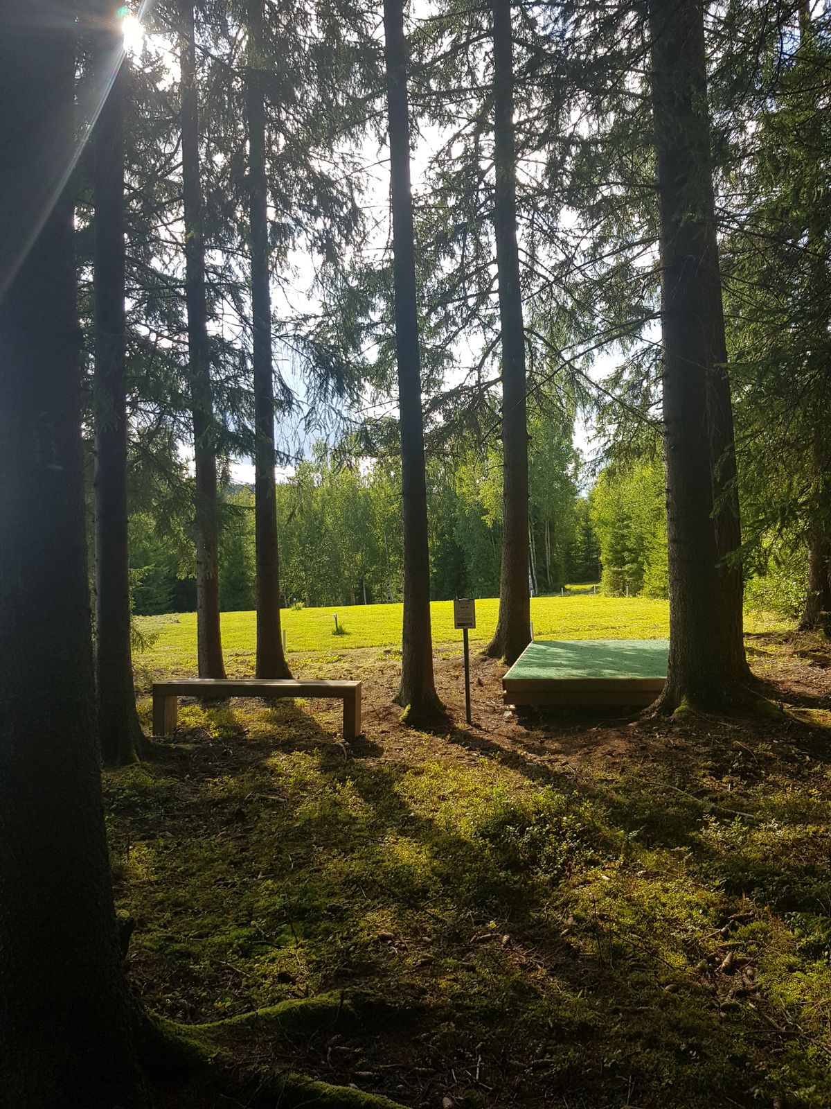 Hull 16
Arvika Discgolf Park