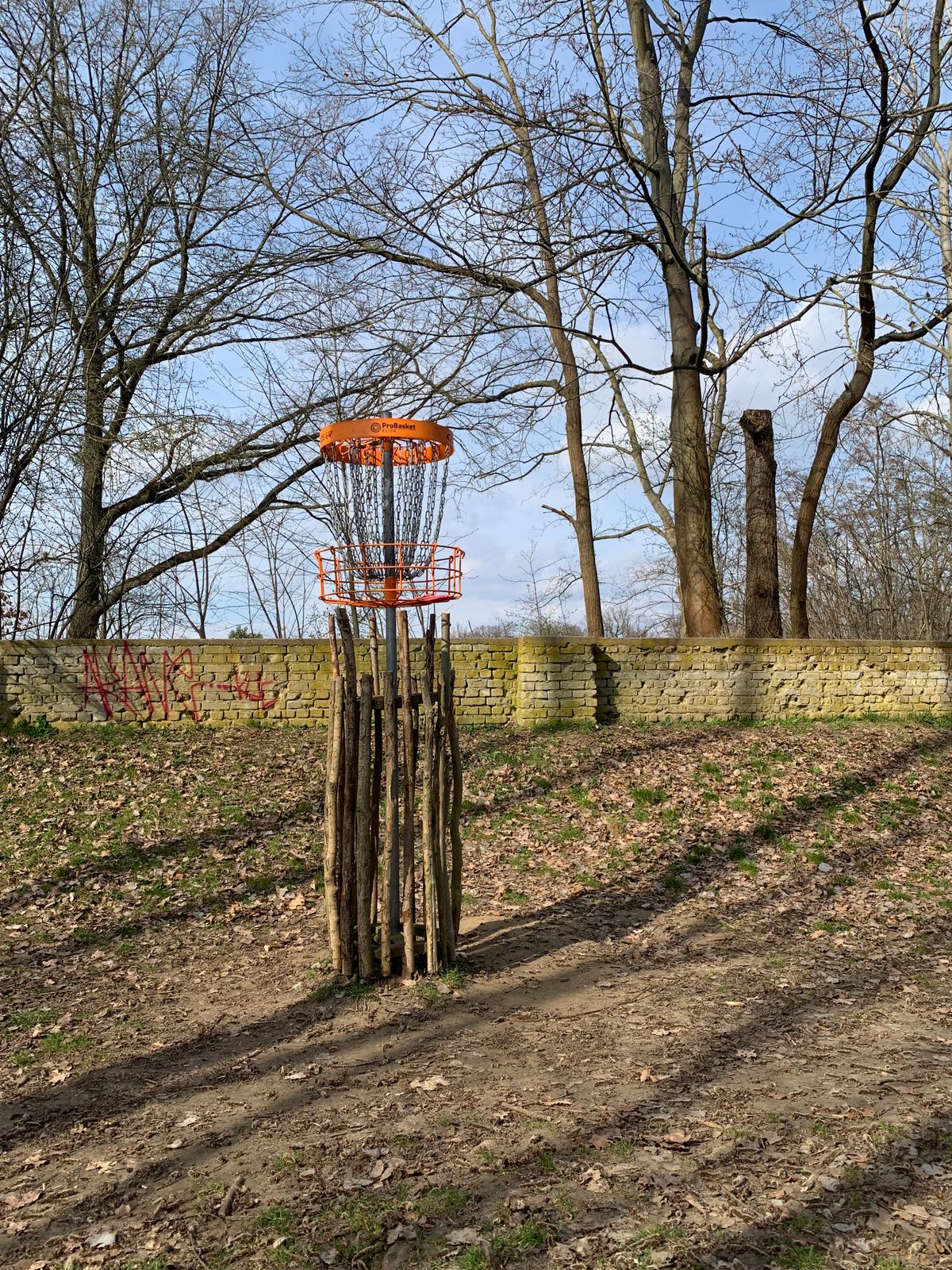 Hole 6 - elevated ⬆️