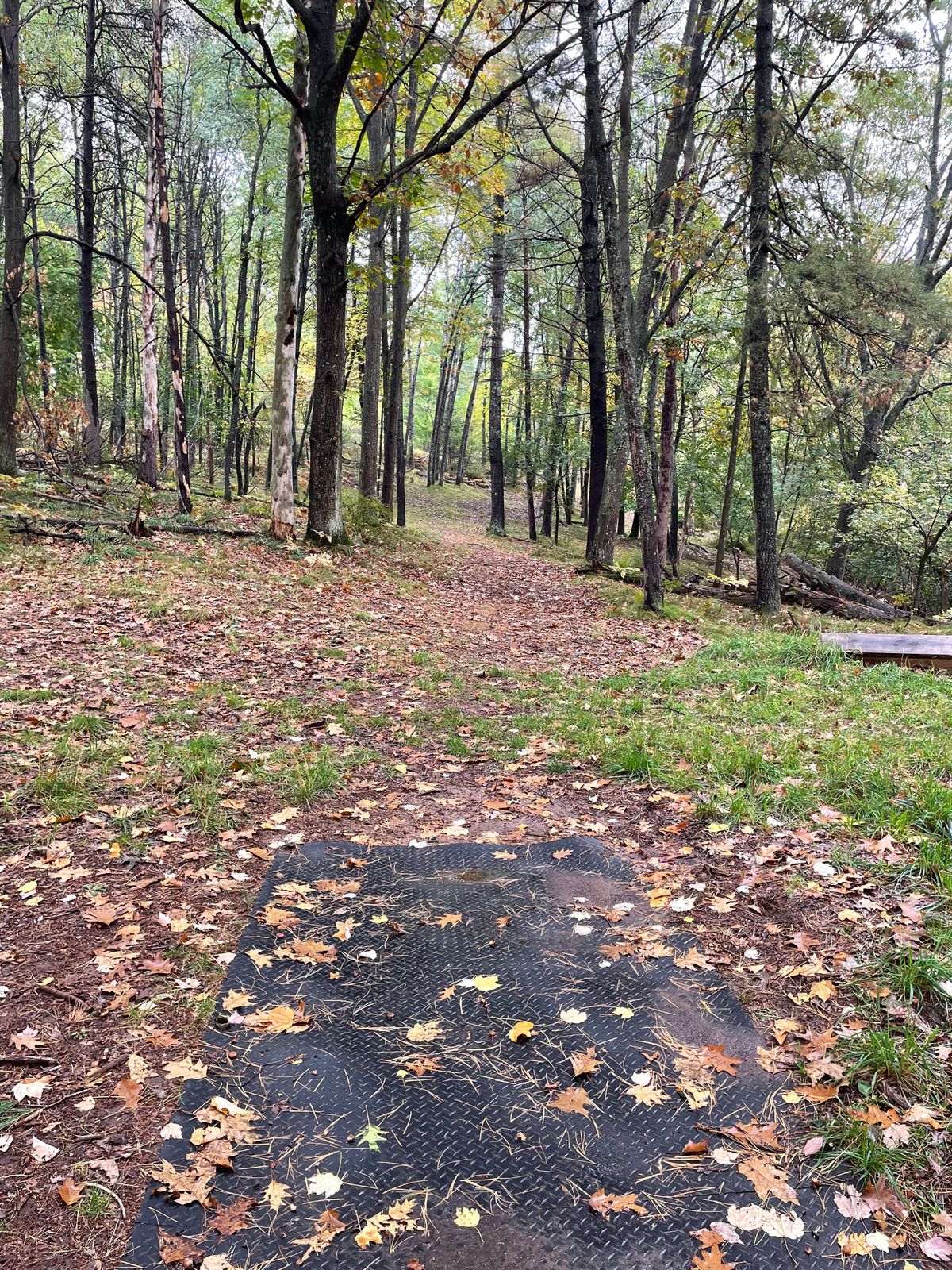 Hole 12