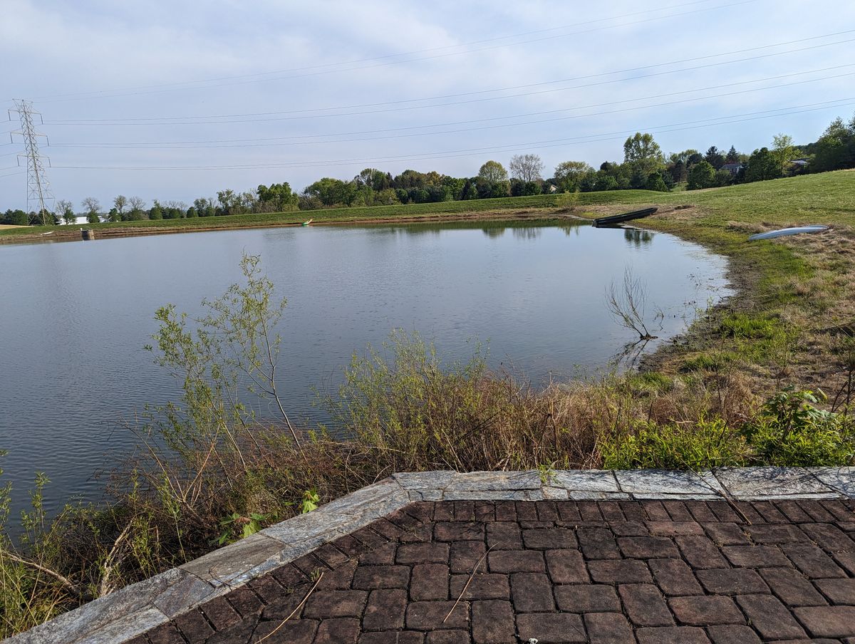 Awesome hole where you throw over a large pond. Really fun!