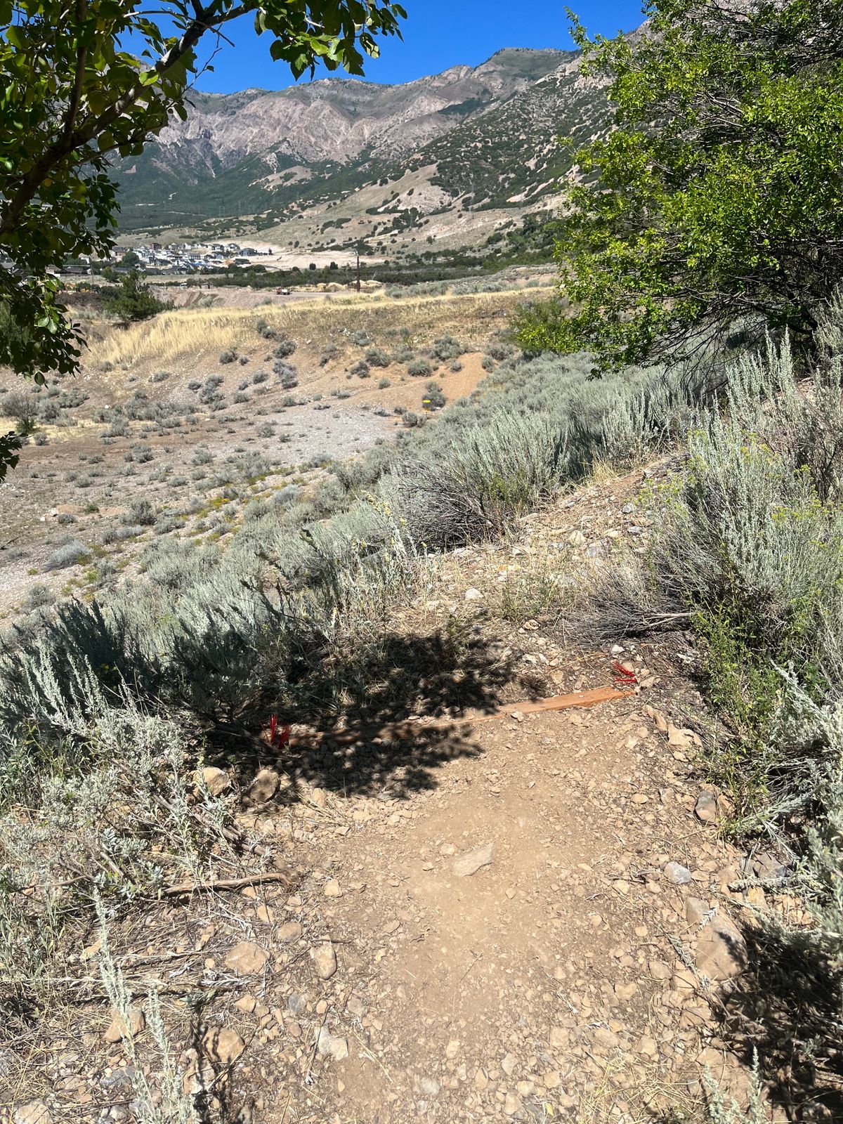 Hole 8 tee pad