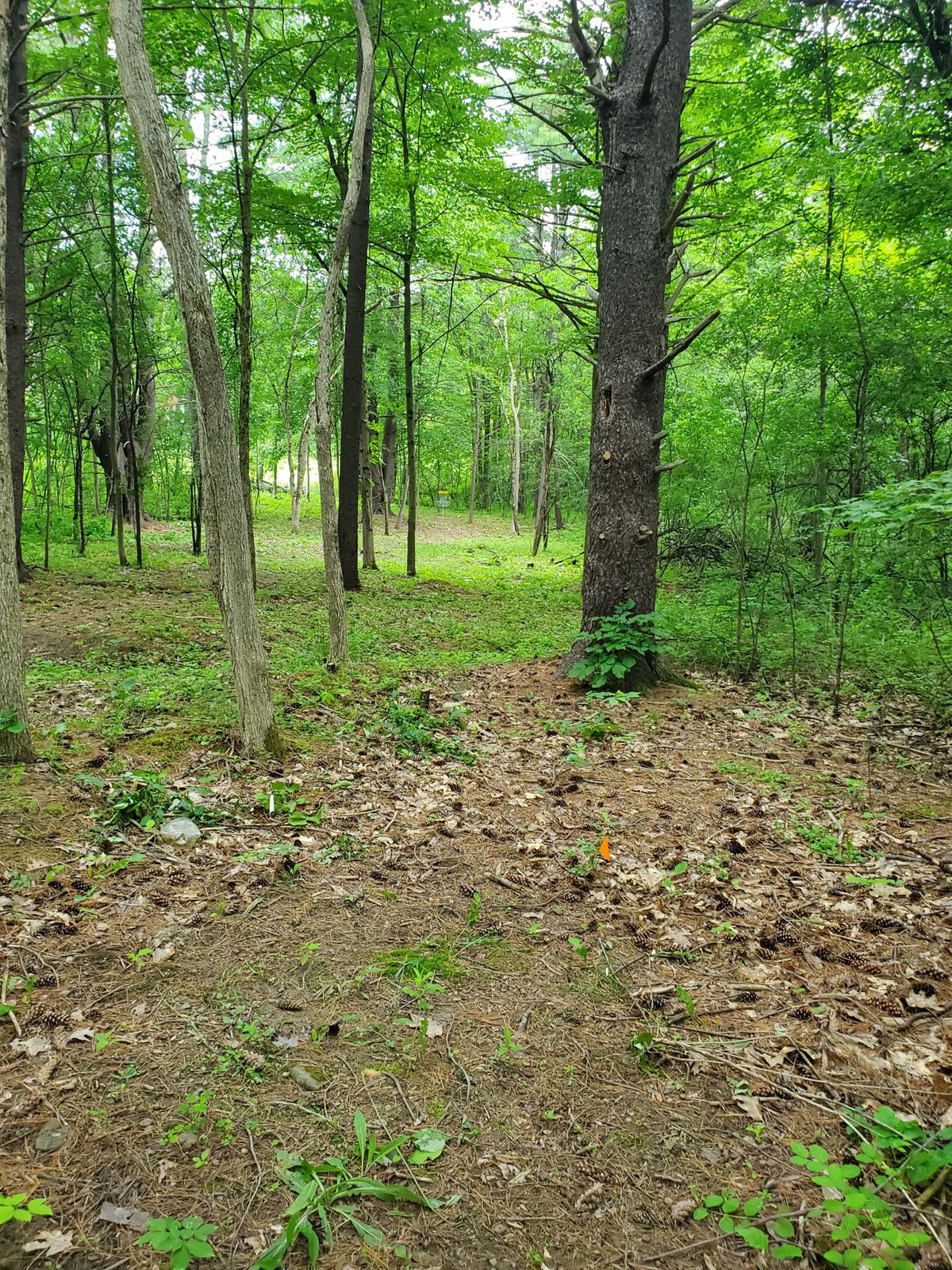 Hole 9 White tee.