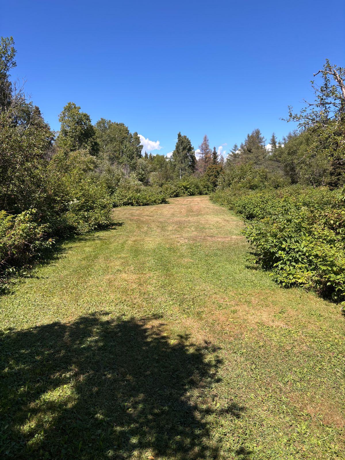 Fairway hole 6