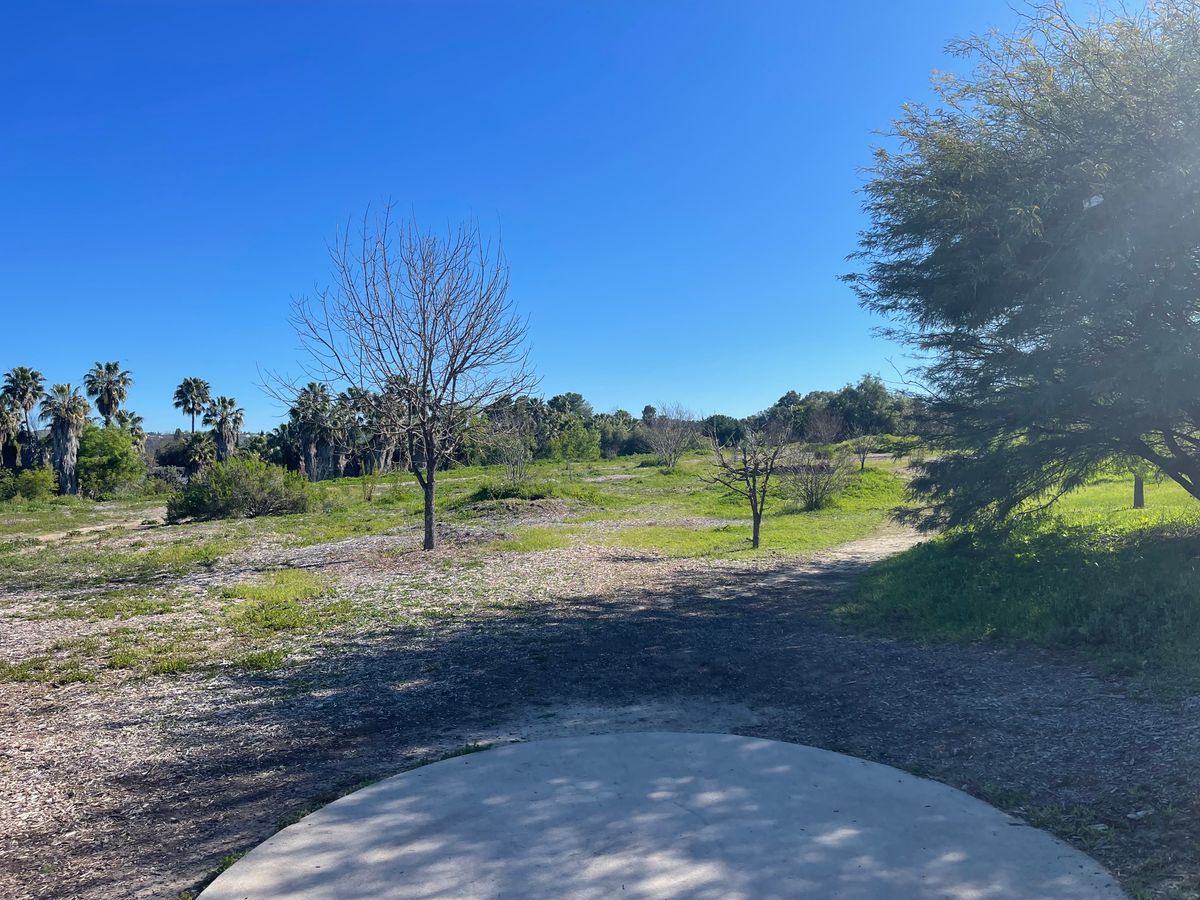 Hole 8 Tee