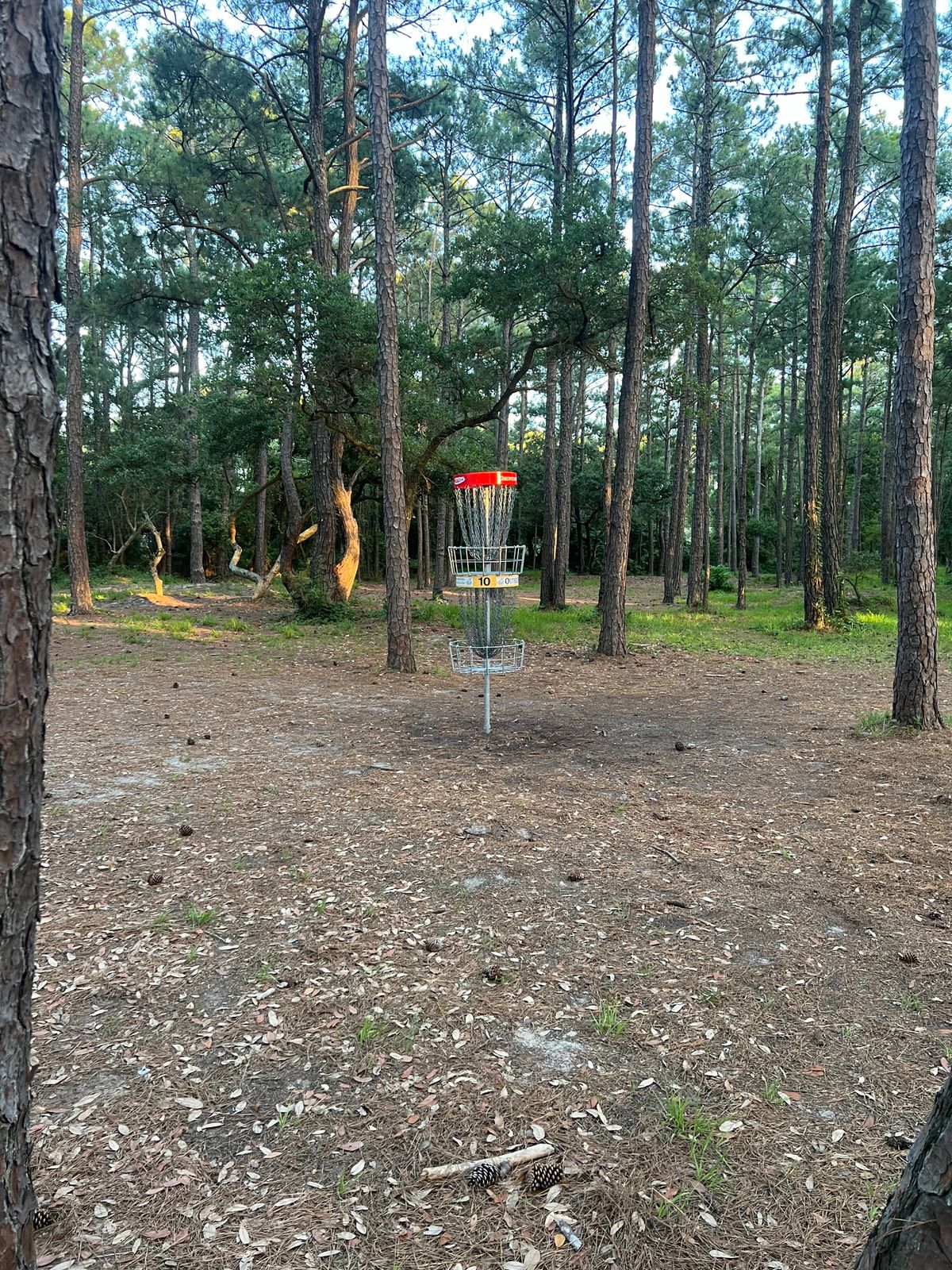 Yellow (short tee) to bottom, Red (Long tee) to top basket!!