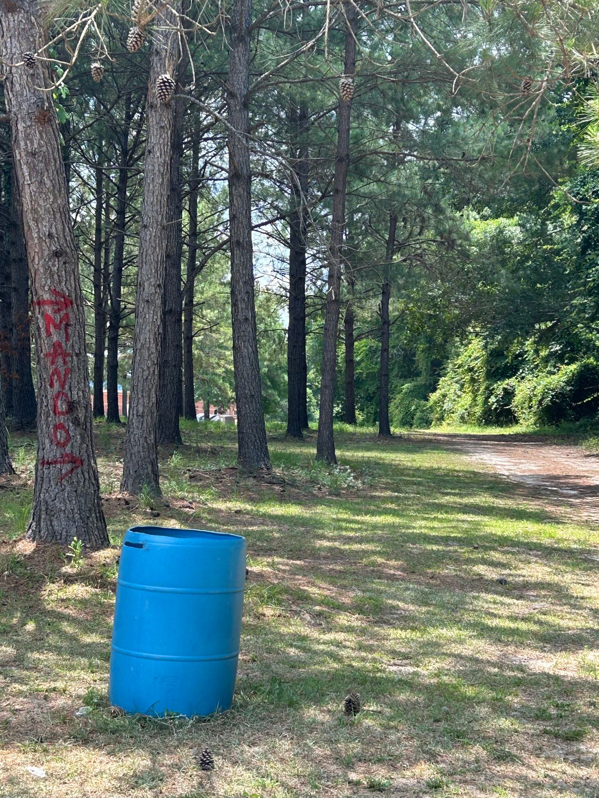 Hole 12 mandatory