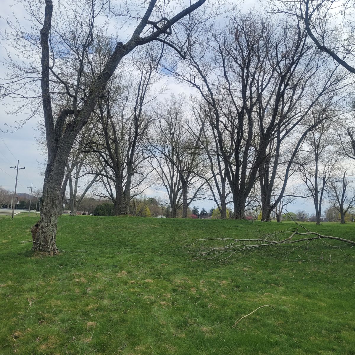 Tee 8