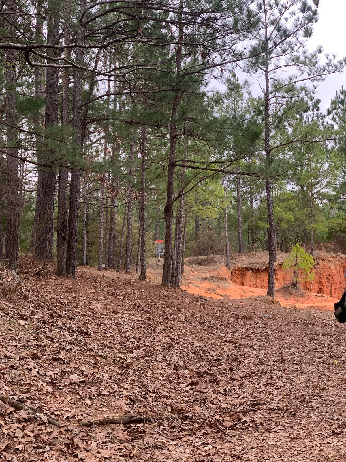 Hole 1 walking up the hill/fairway