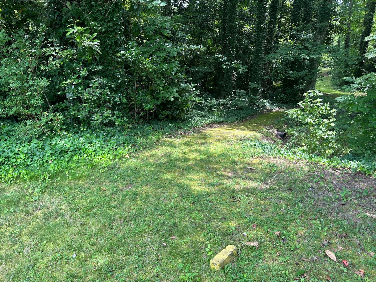 Tee 1