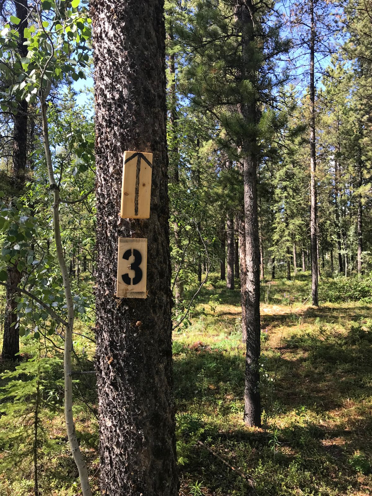Path to 3