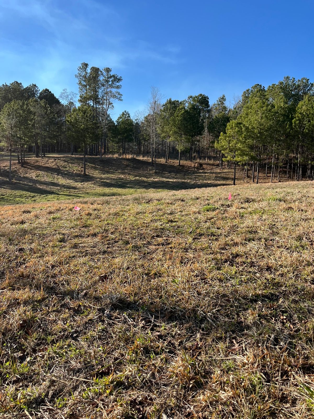 Hole 6 - tee to basket