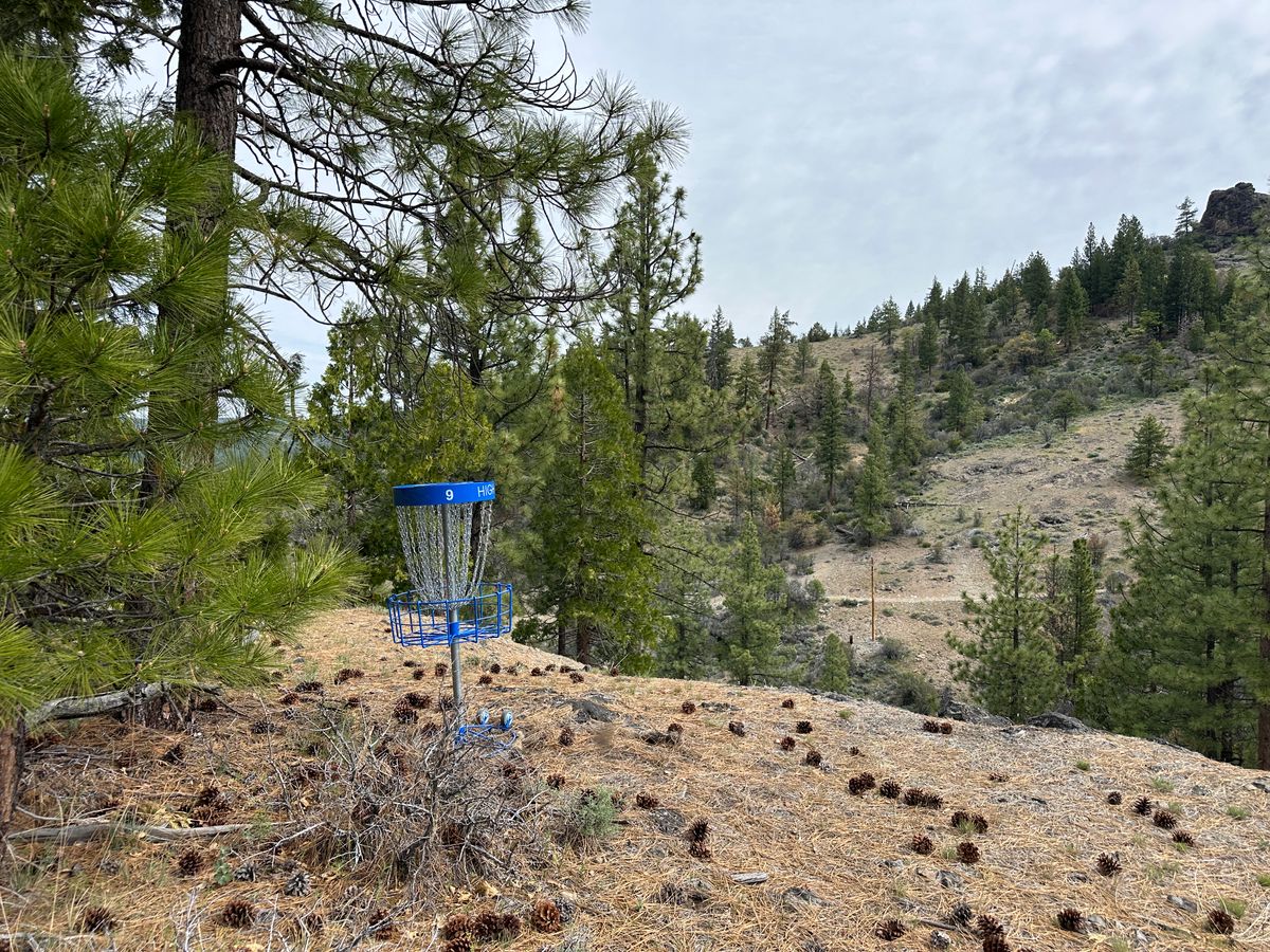 Hole 9 with the drop off
