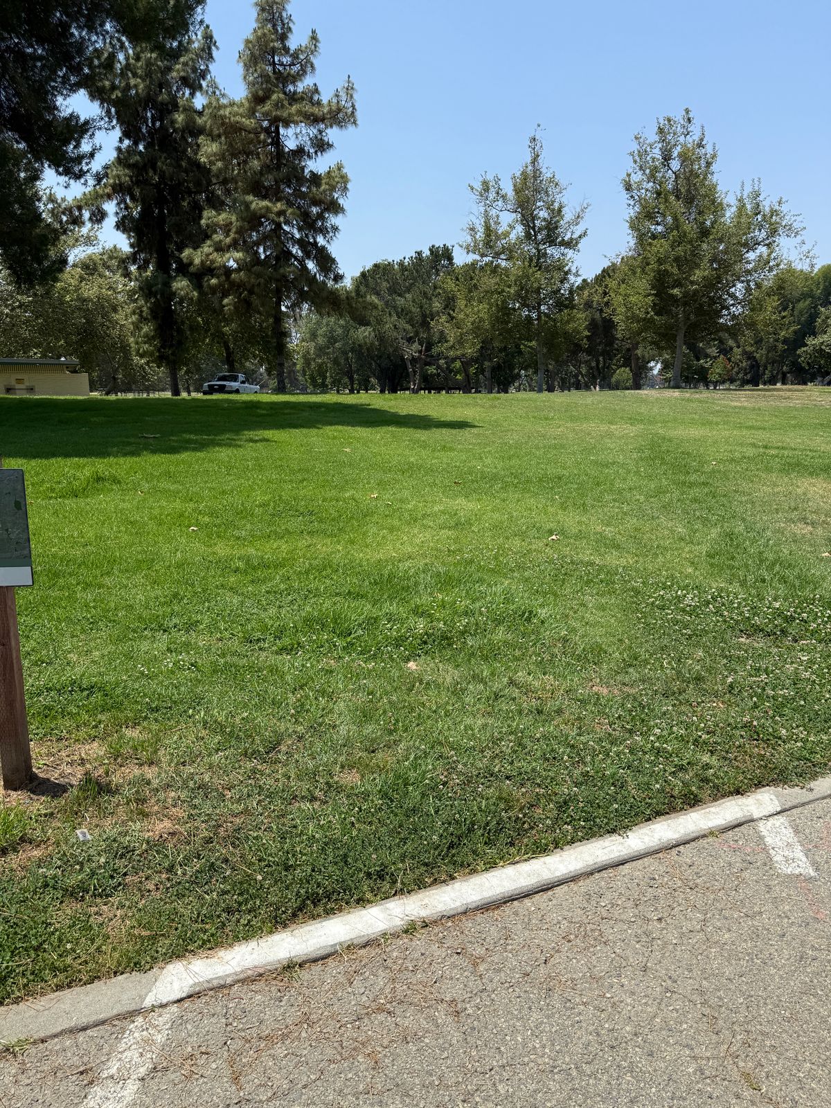 Hole 26 Tee