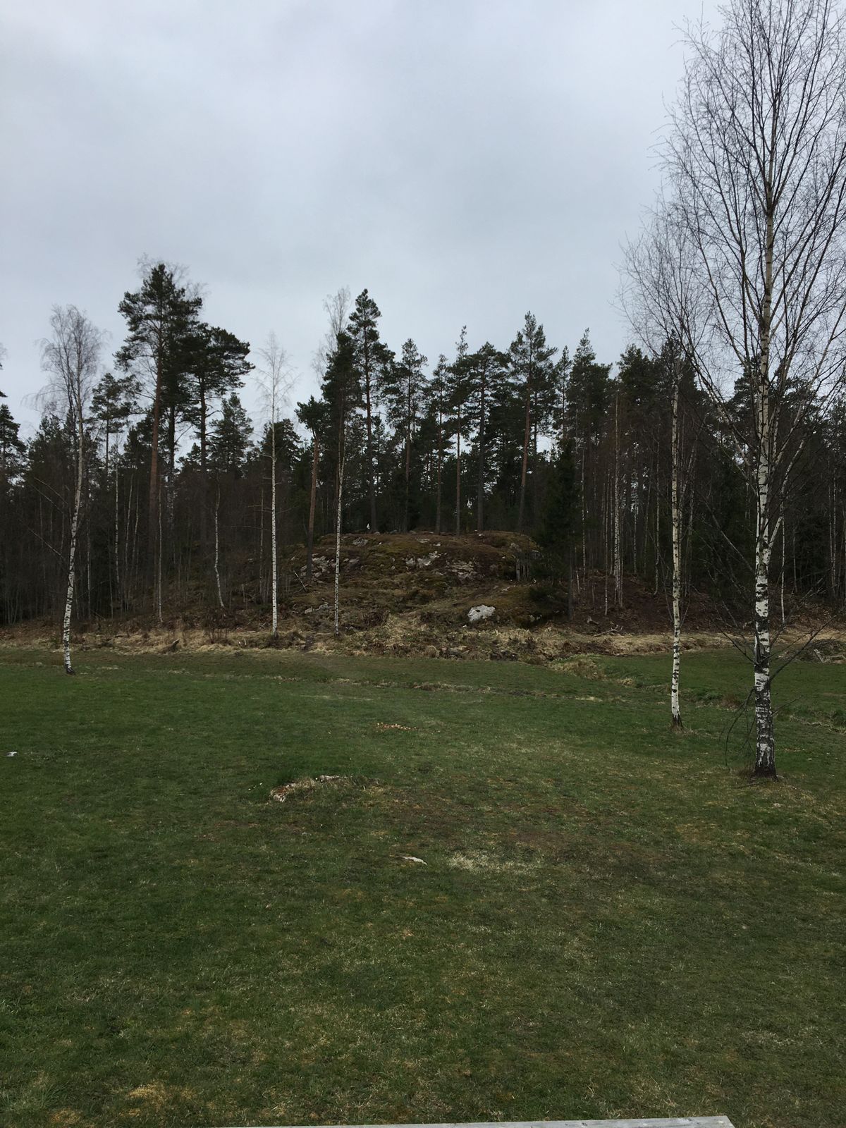 ford hole 12