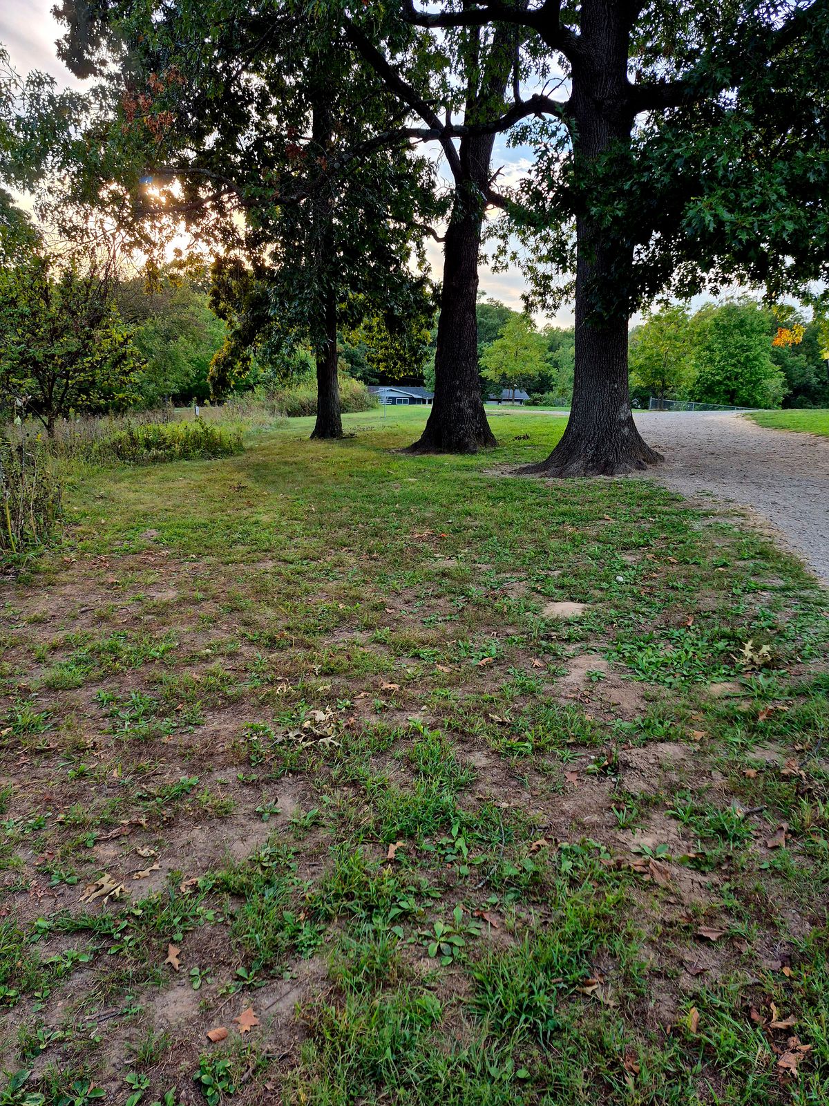 Hole 1
Tee to Basket