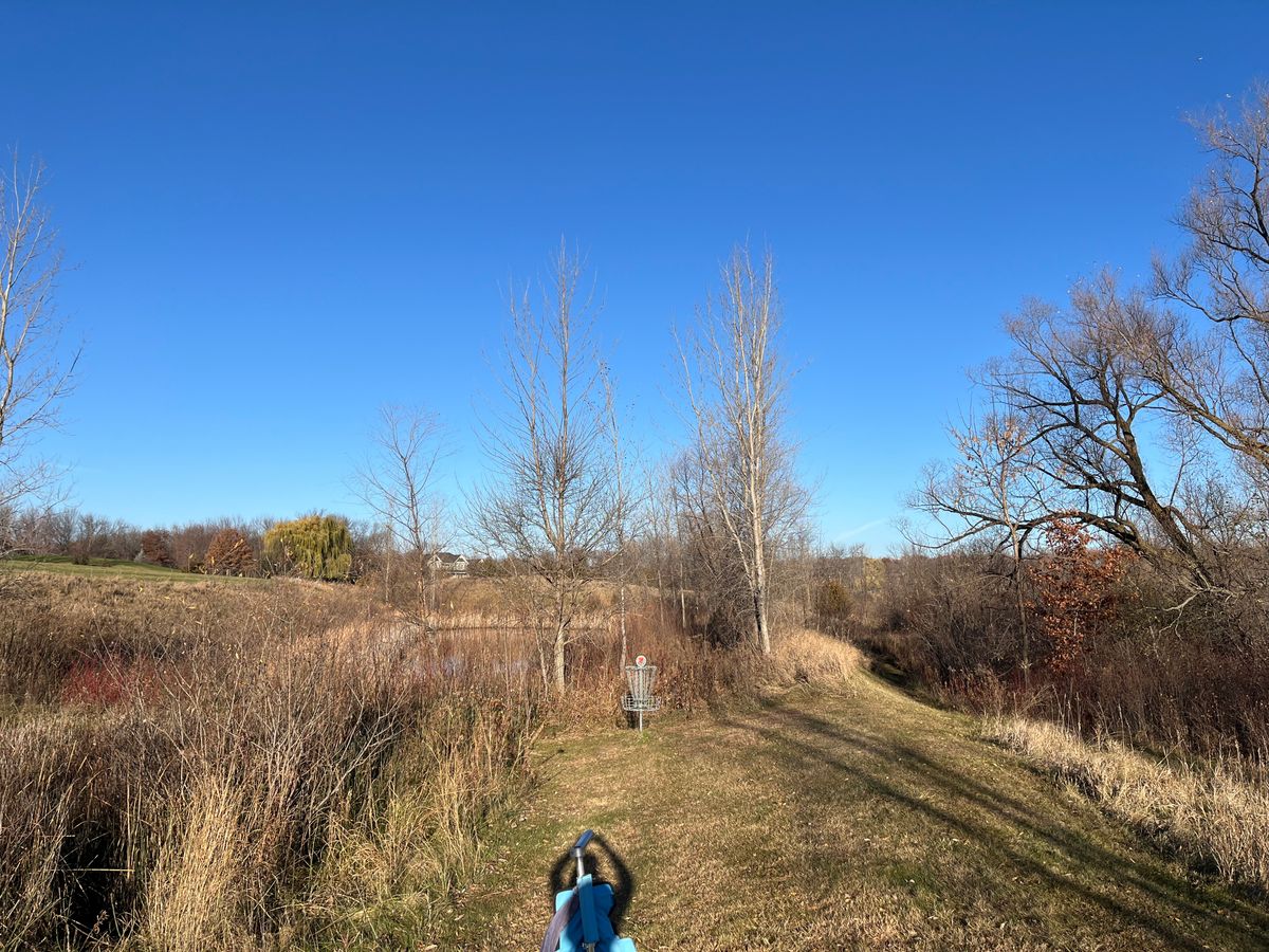 7’s postage stamp green