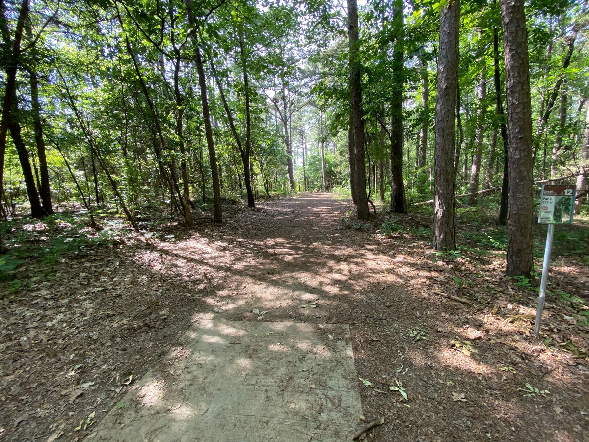 Hole 12