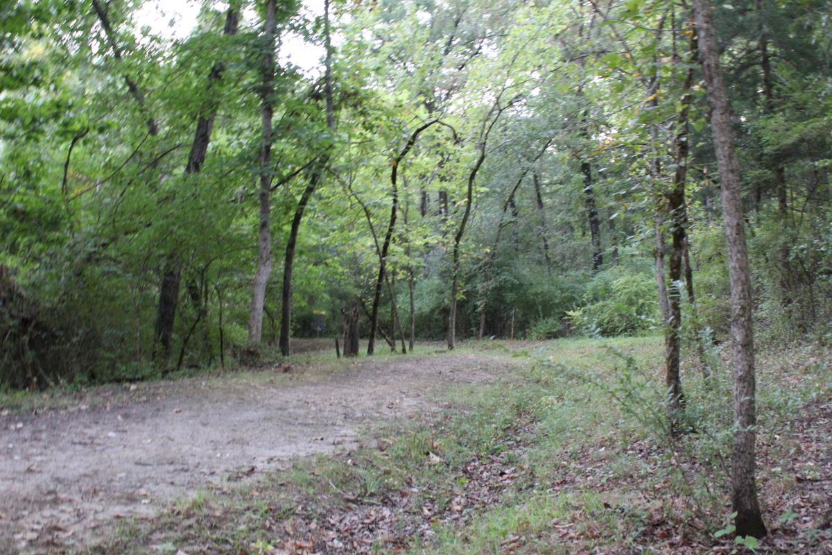 Hole 14 (Basket)