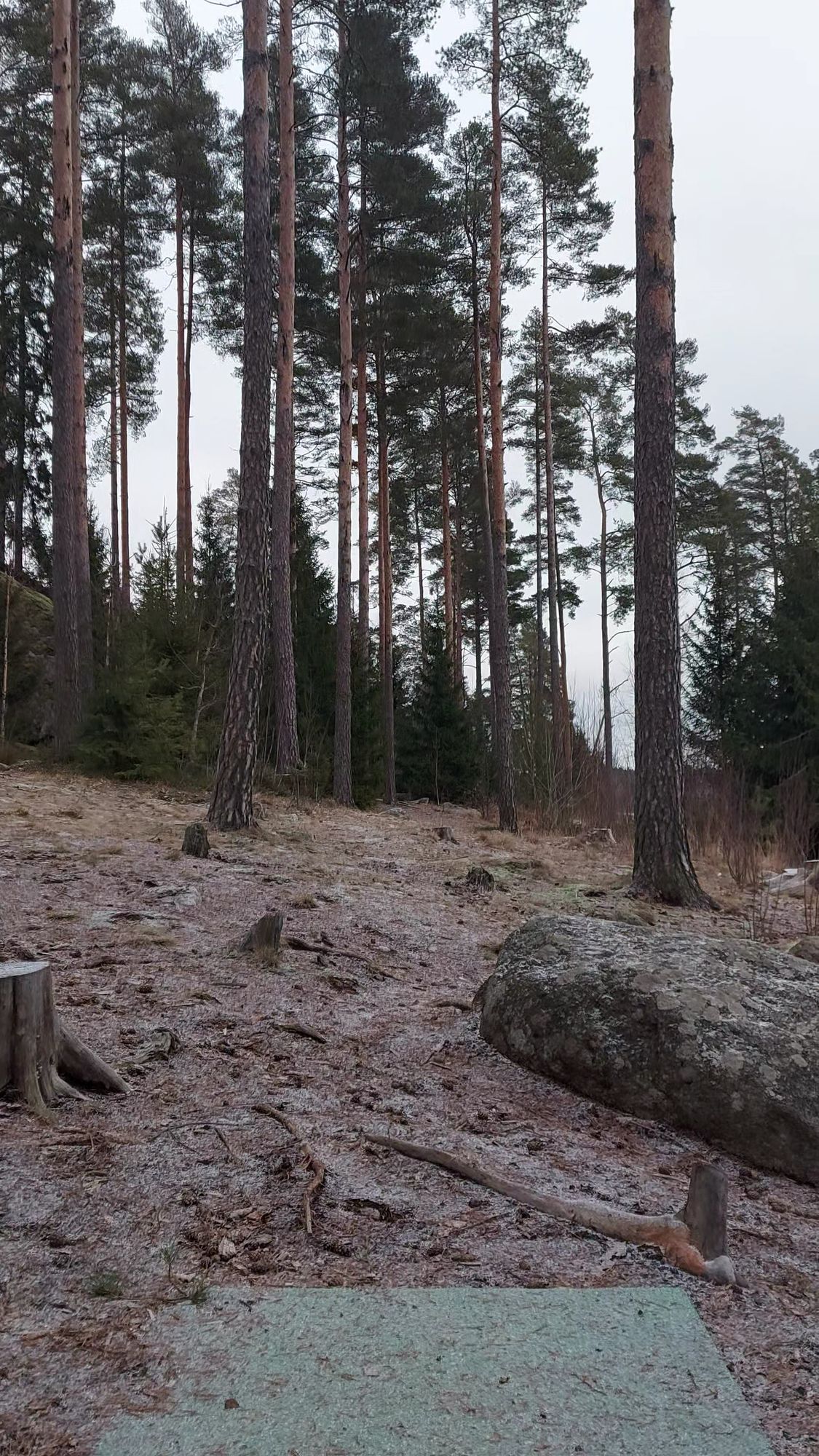Väylä 1