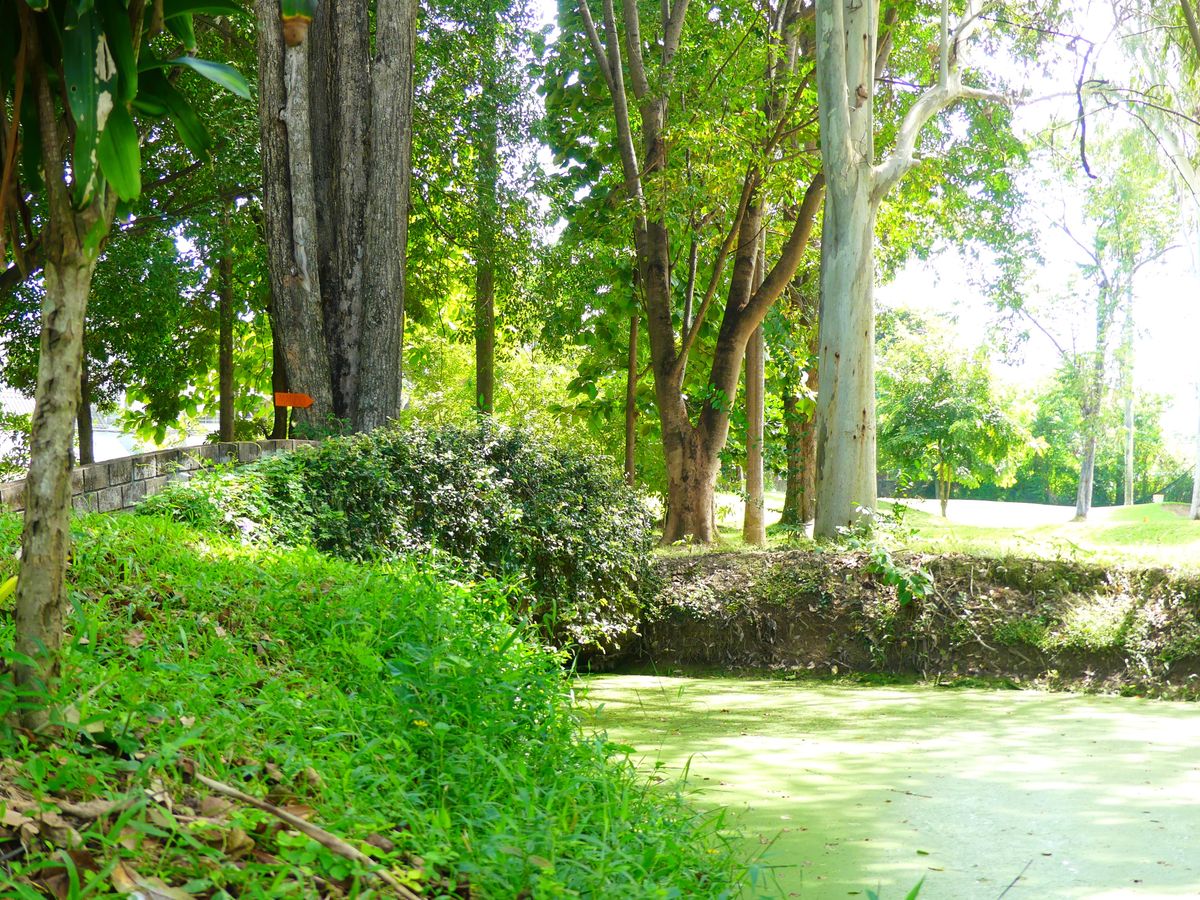 Hole 3 short tee