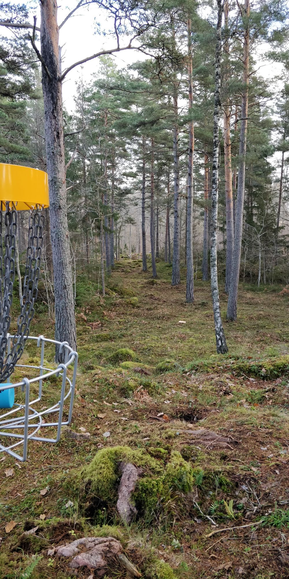 Green hål 1