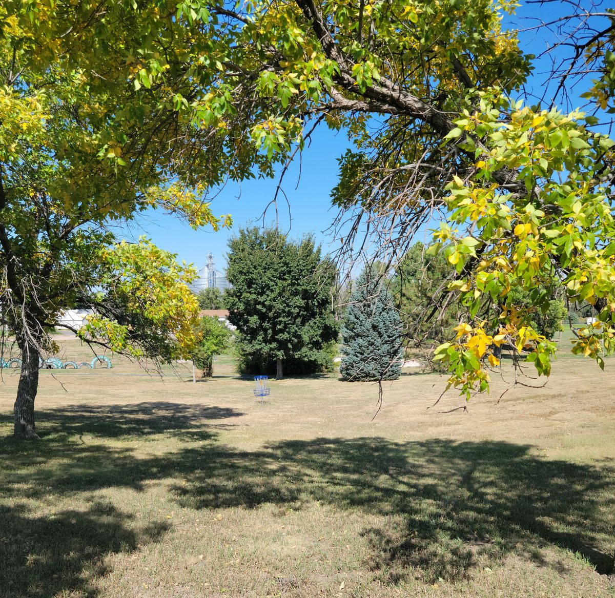 Hole #8 basket