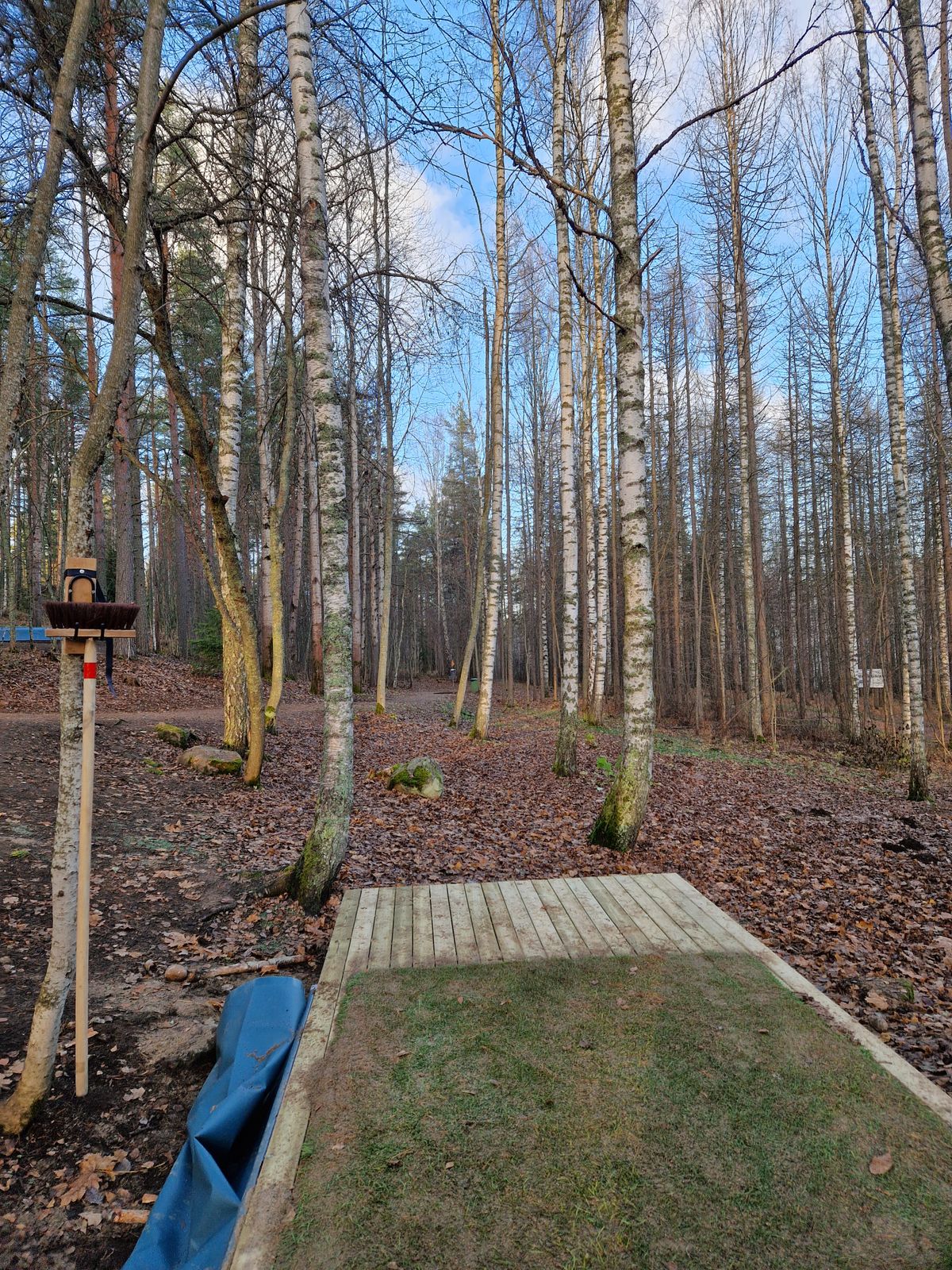 Am tee 16