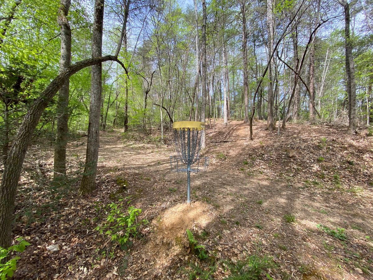 Hole 9 green.