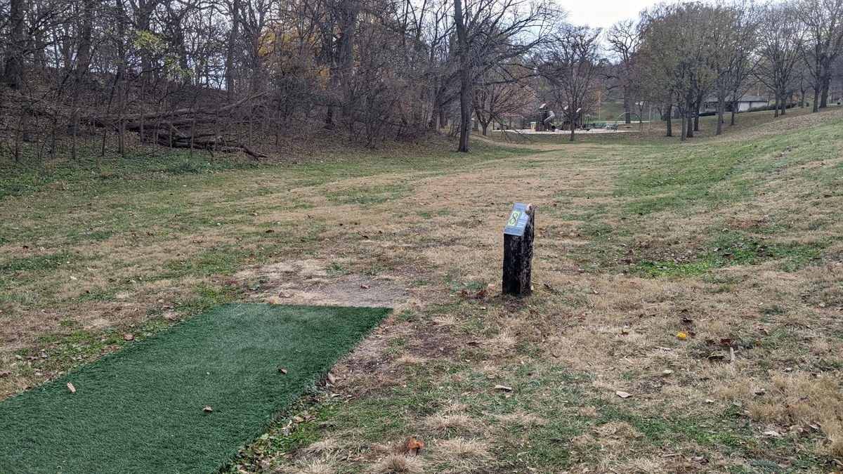 Tee #8