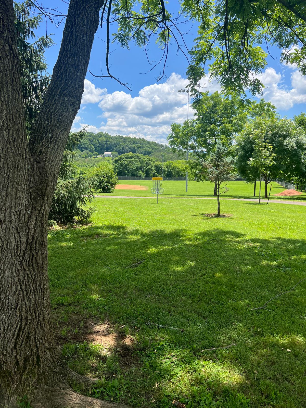 Hole #5 Basket
