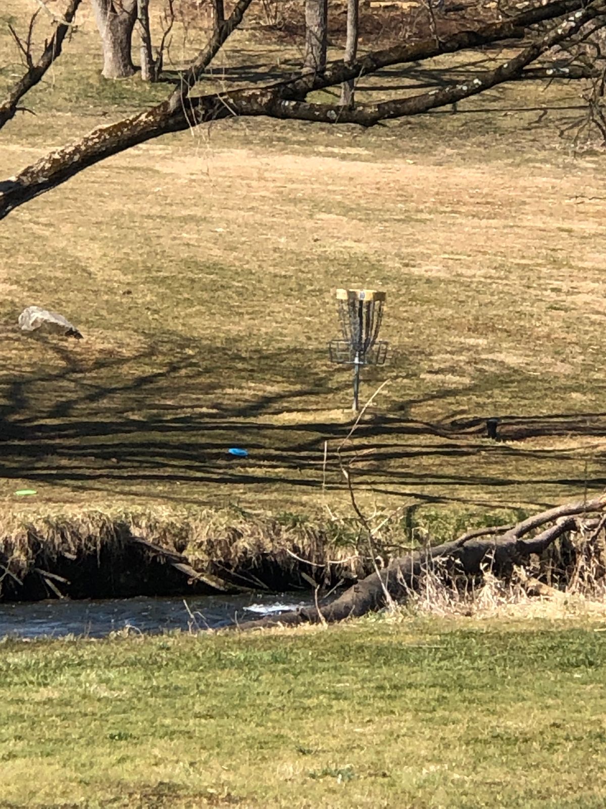 A zoomed in look at #10s basket, tee shot makes you lay up or go for it on this hole.