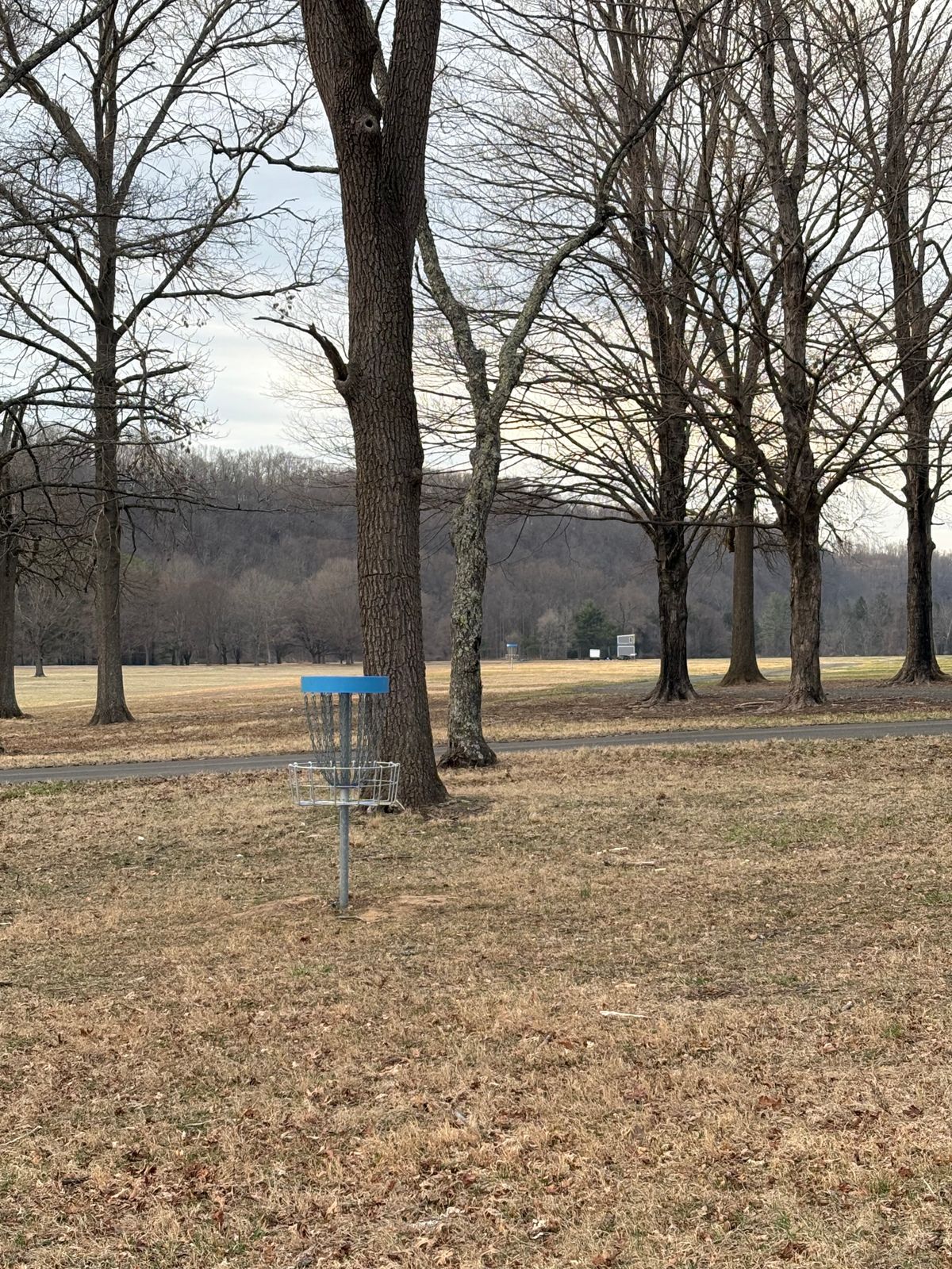 New hole 4 pin is in the middle of the downslope. Did not see a proposed long/short position.