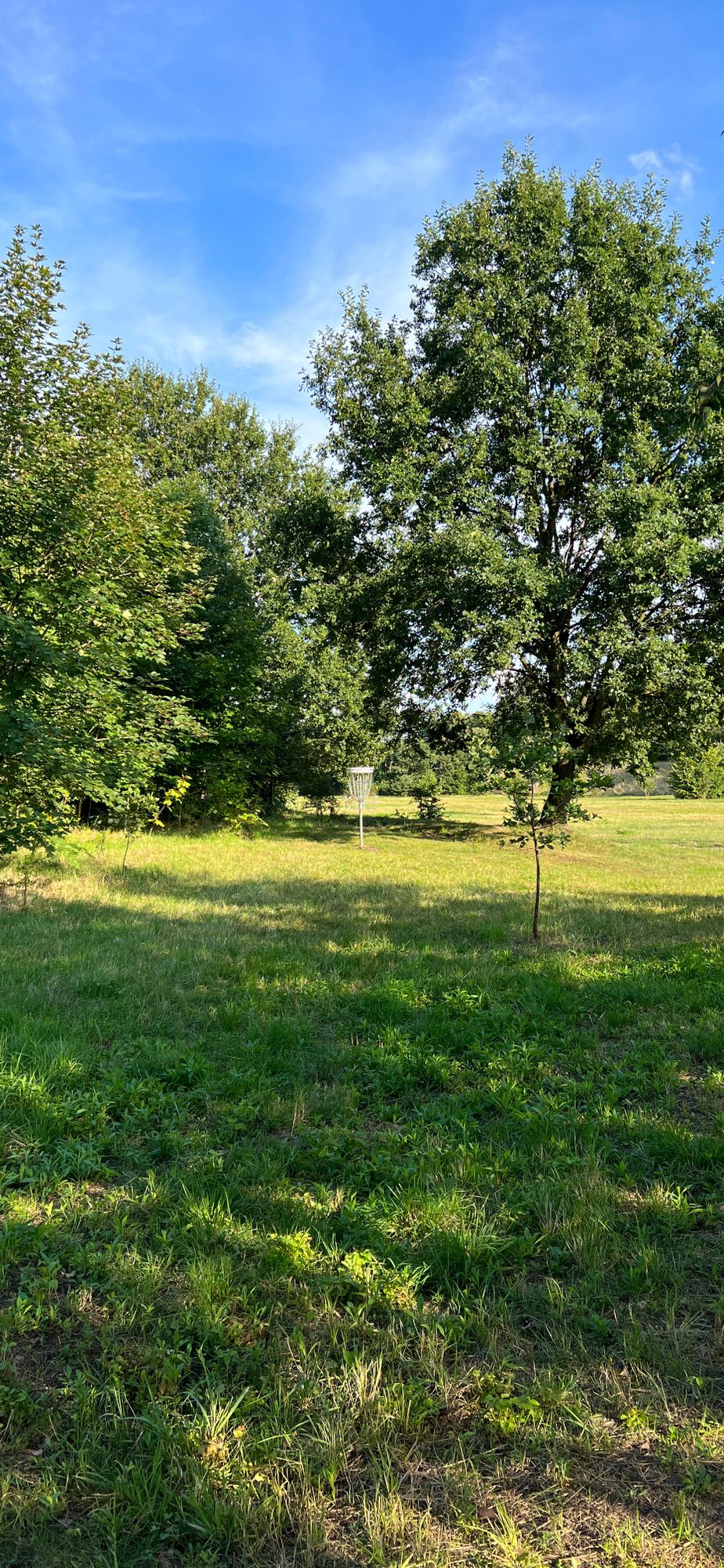 Target #6