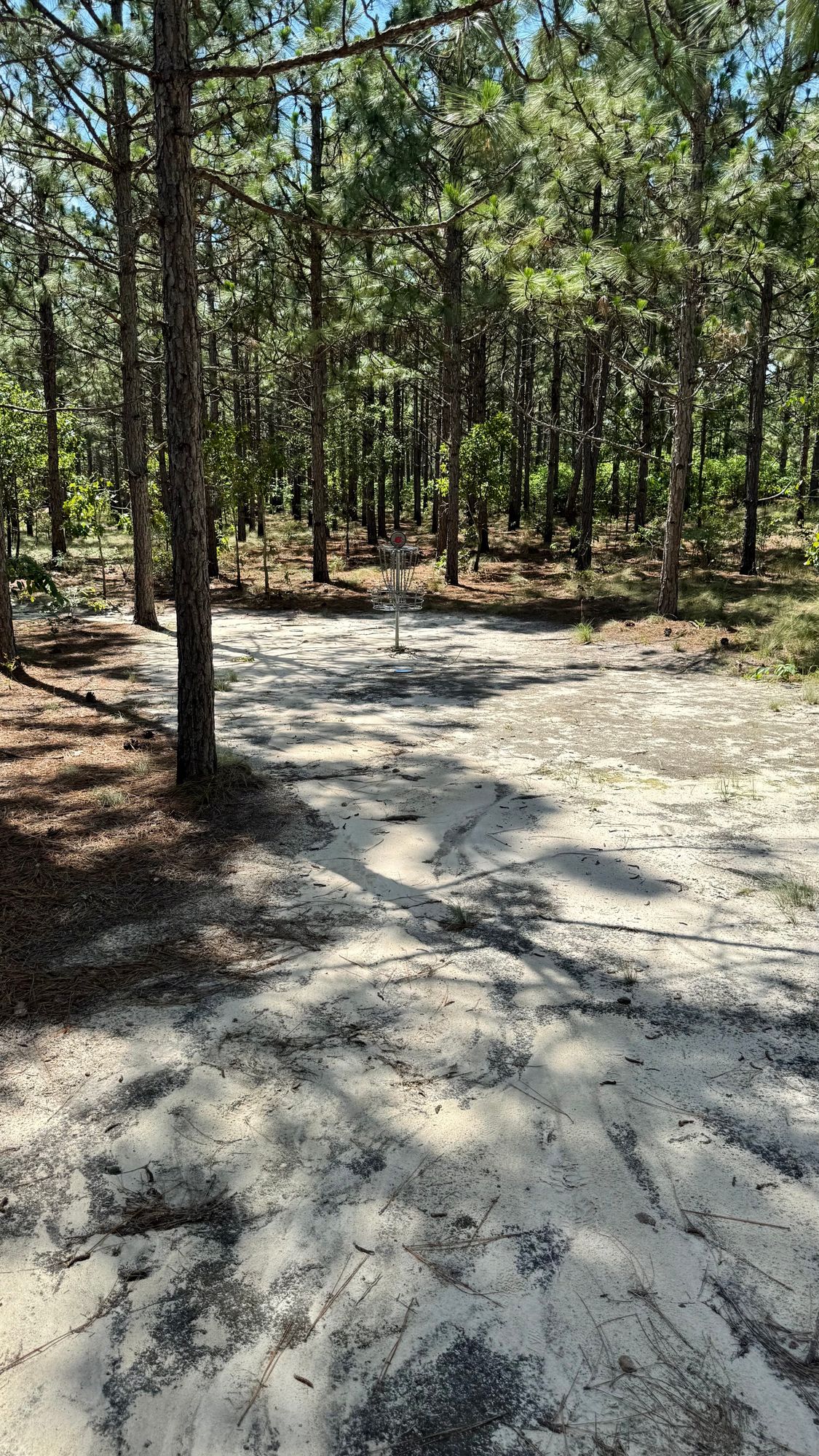 Hole 6 Basket