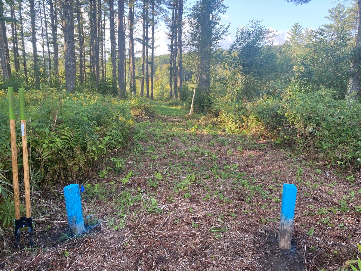 Hole 7 Tee Box