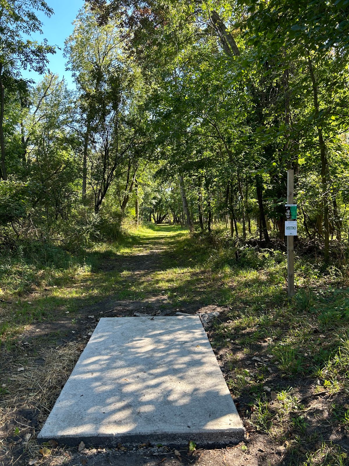 Hole 9
