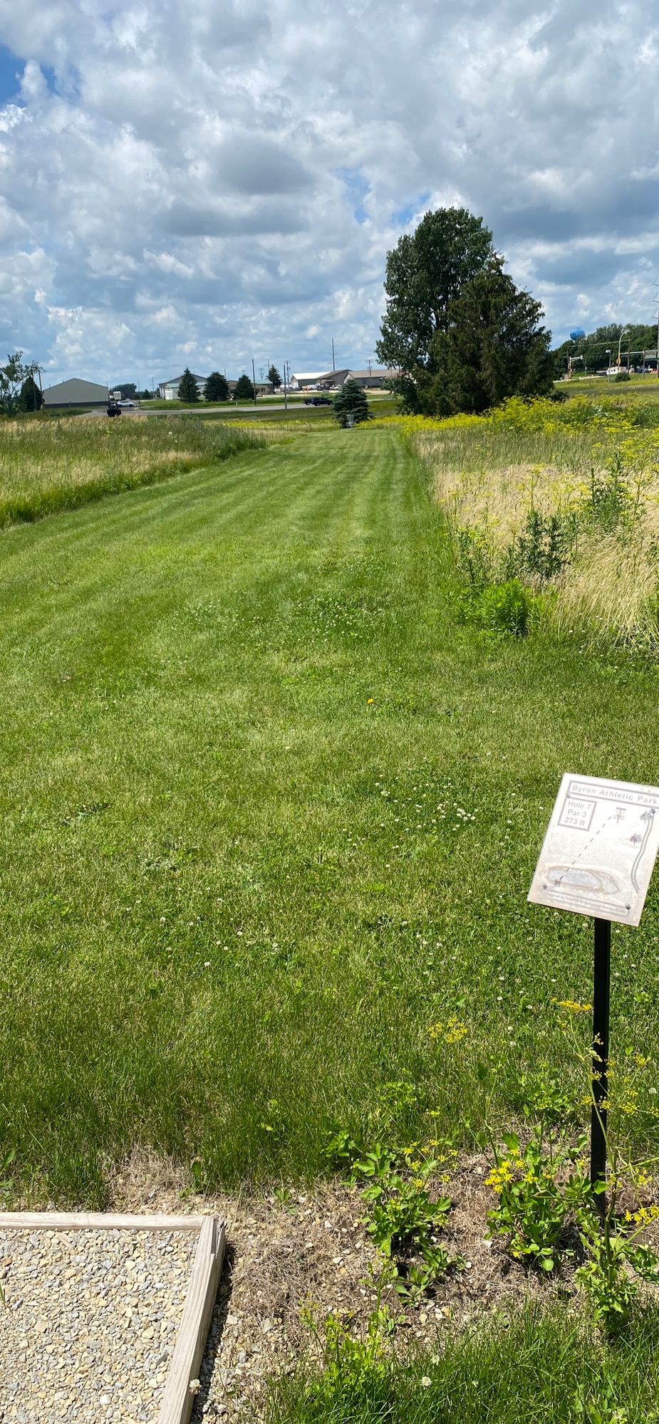 Tee 7