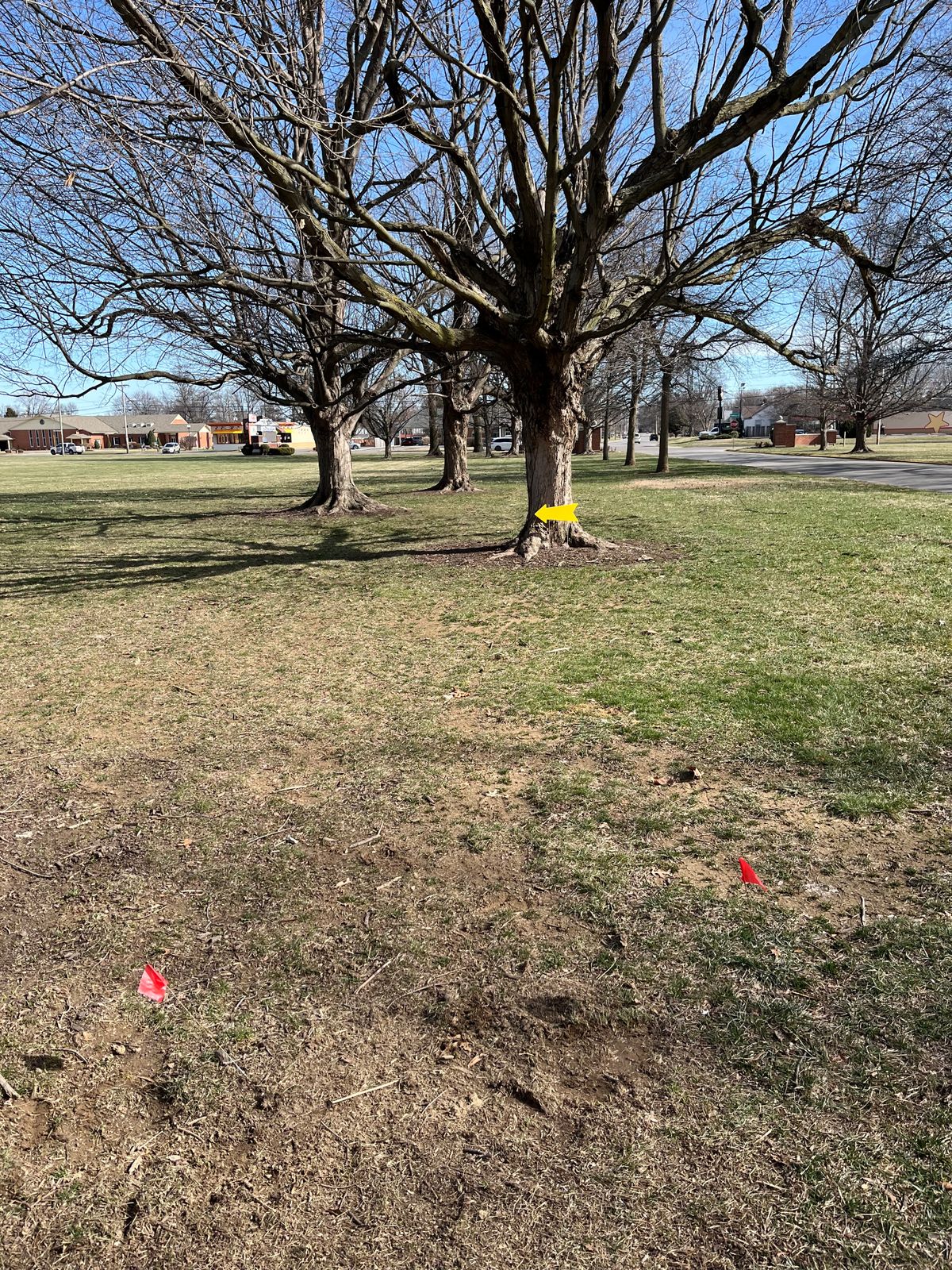 Hole 4 Tee