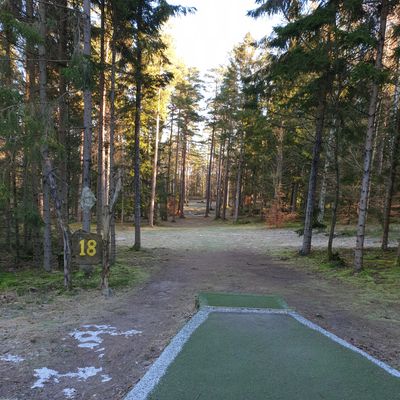 Ale Yellow - Tee #18