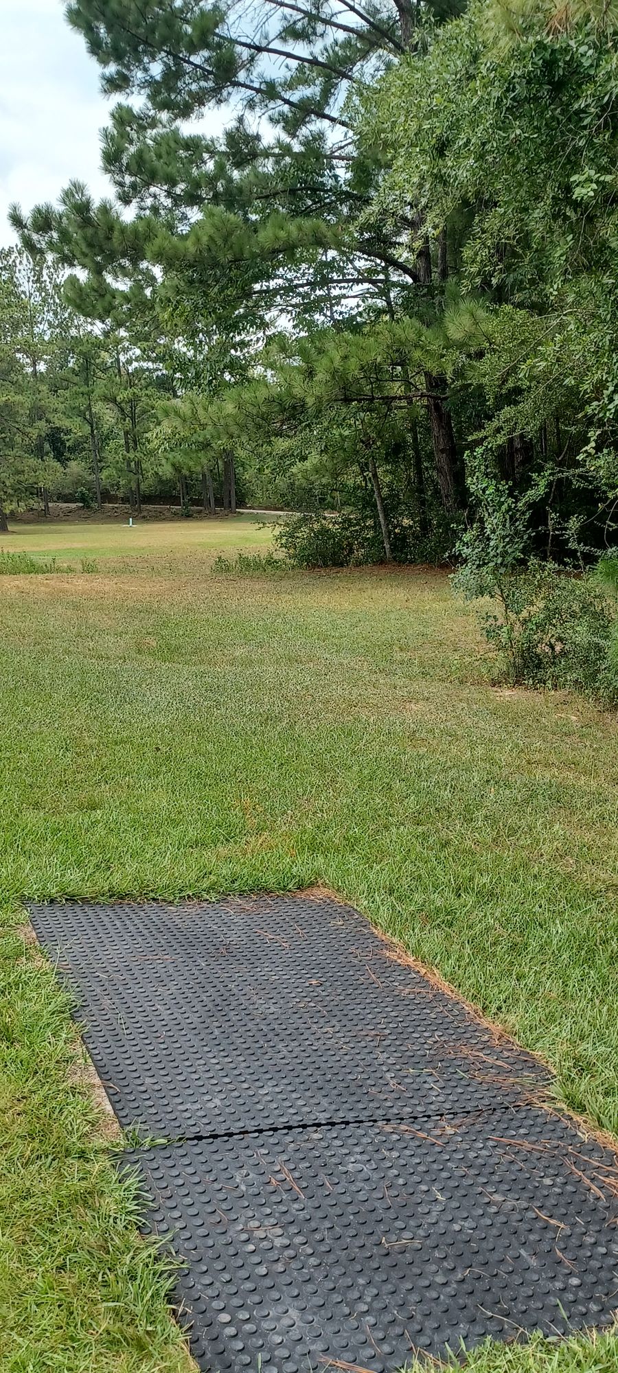 Hole 5