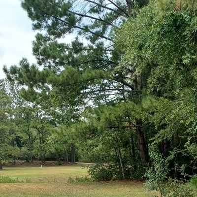 Hole 5